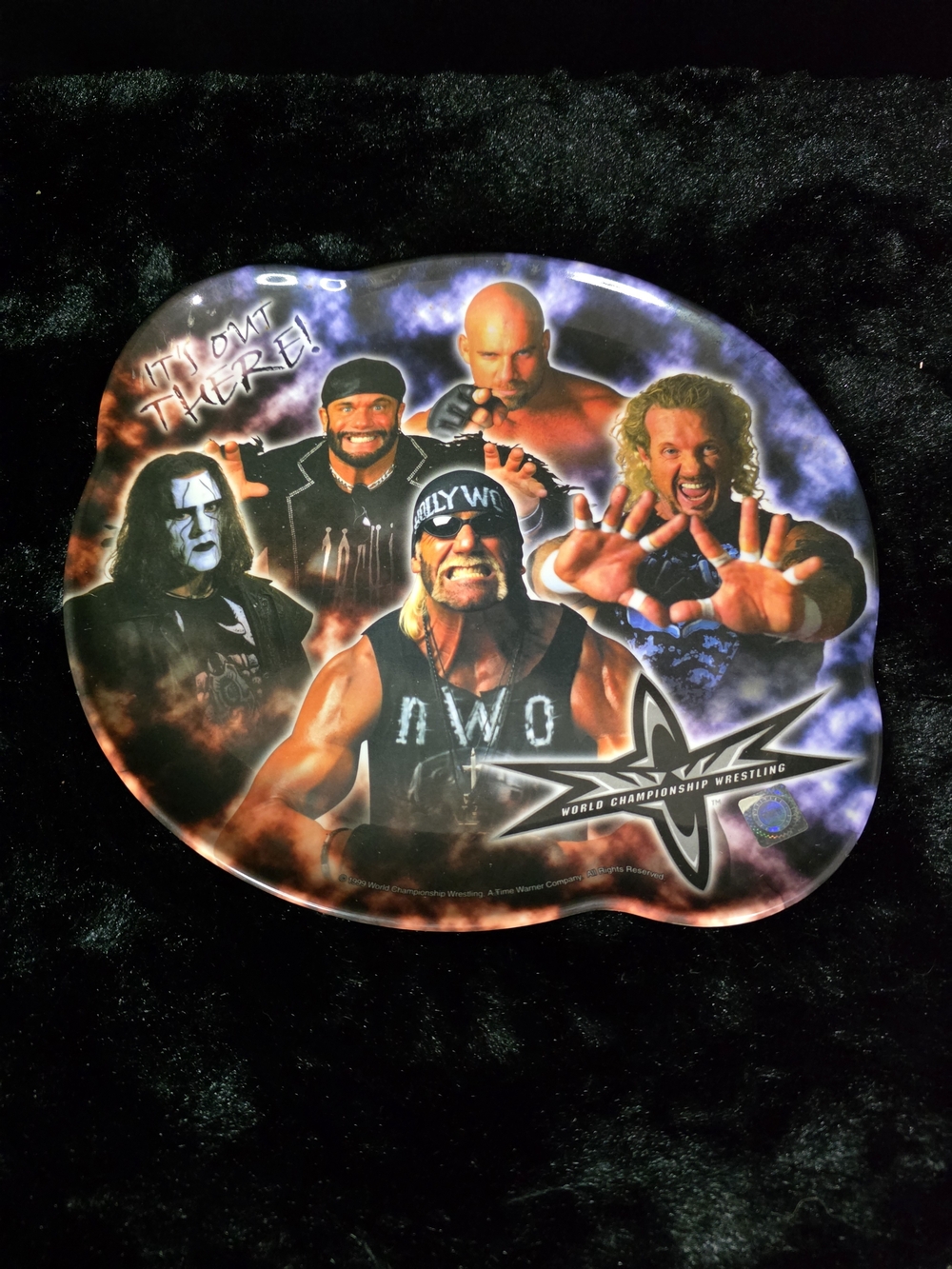 1999 WCW Zac Designs Collectable Plate